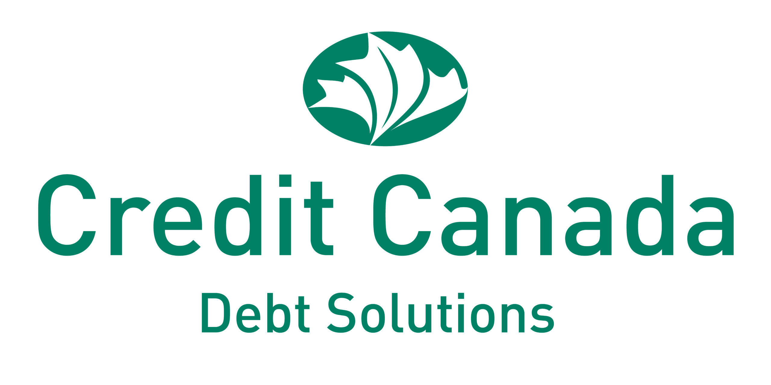 Credit Debt preview